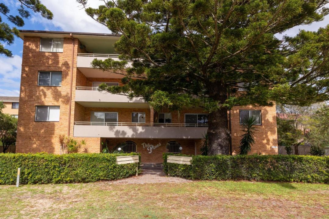 Photo of Others in Tuncurry
