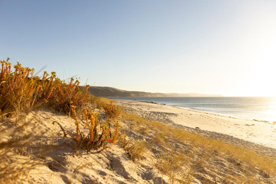 Photo of Others in Normanville