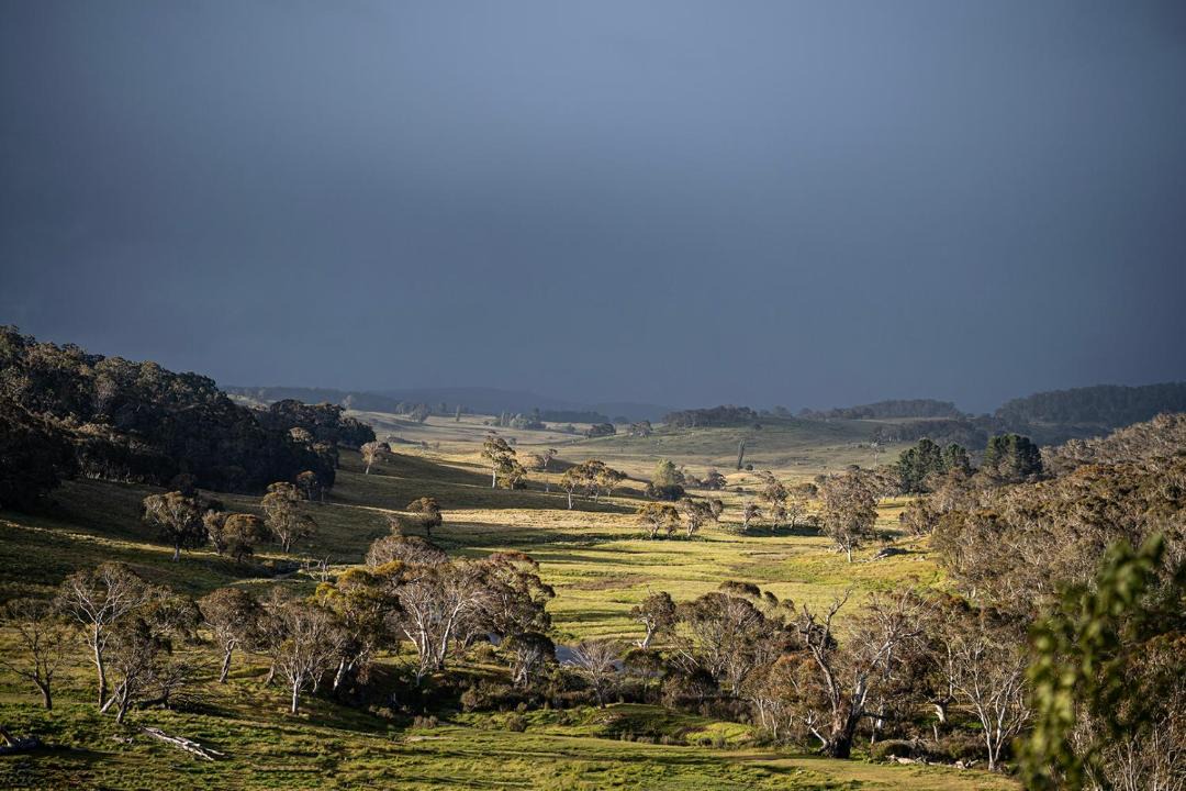 Photo of Others in Greenlands