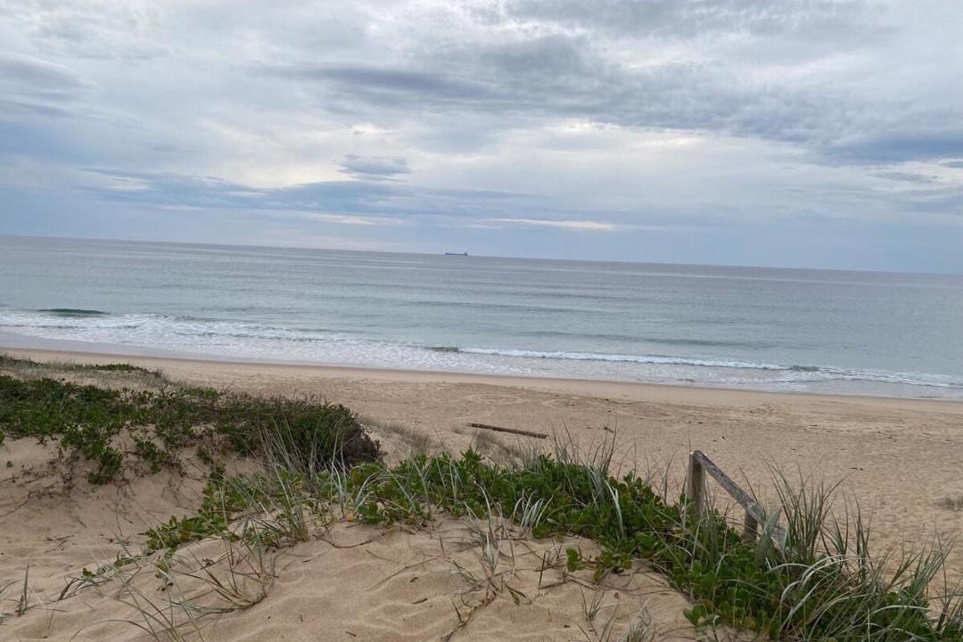 Photo of Others in Magenta Shores