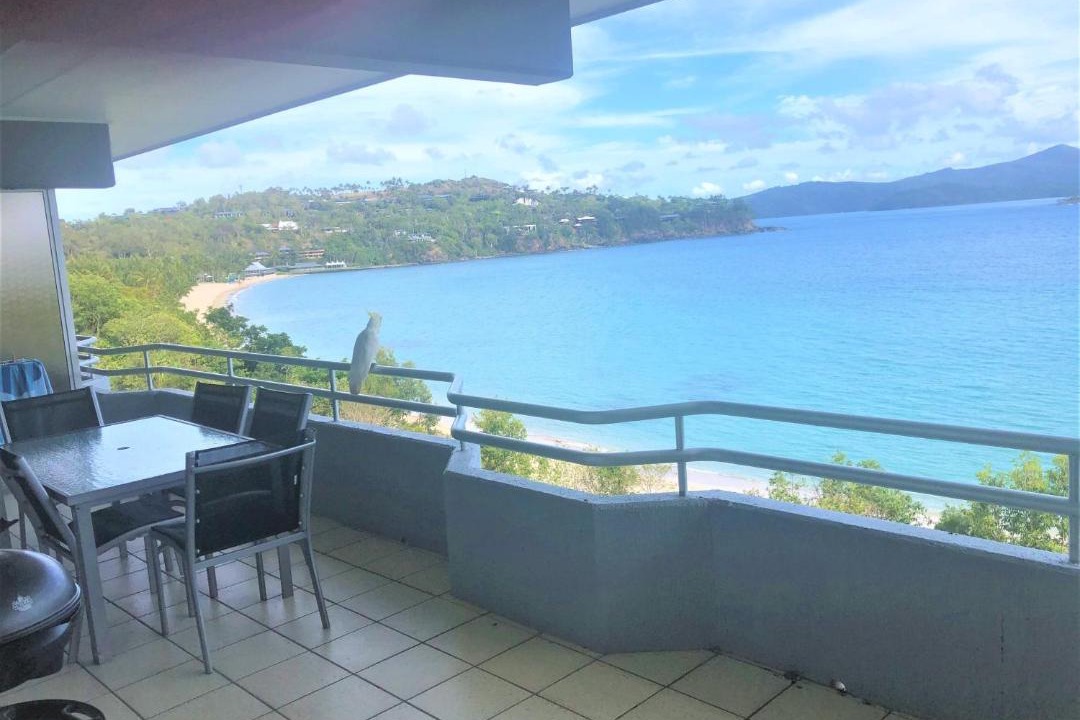 Photo of Others in Hamilton Island