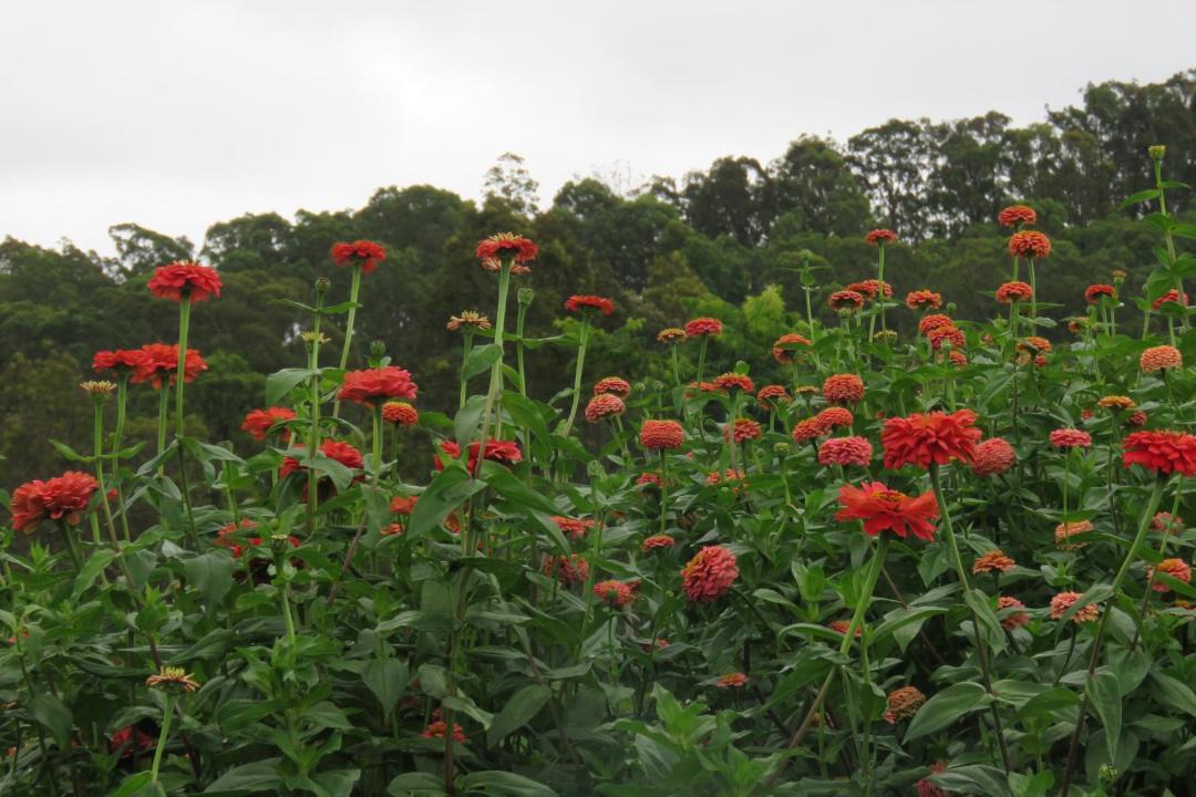 Photo of Outdoor in Vacy