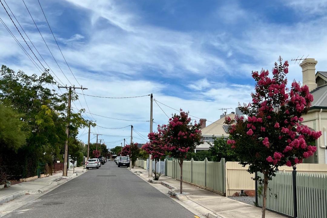 Photo of Others in Semaphore