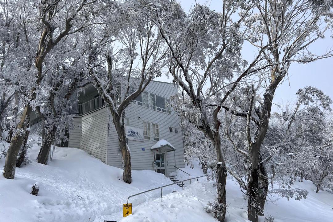 Photo of Others in Mount Buller