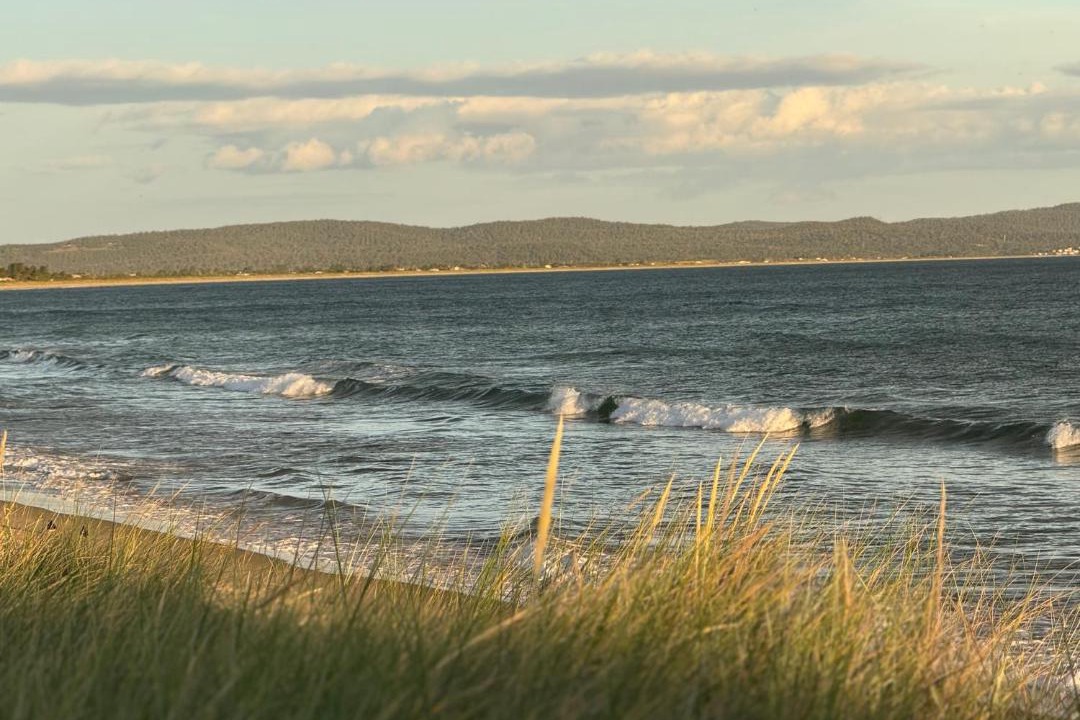 Photo of Others in Dolphin Sands