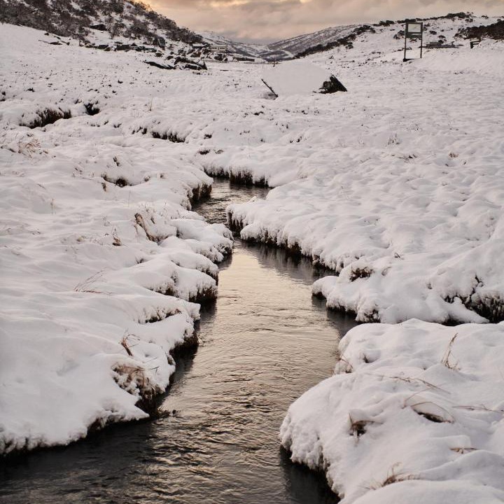 Photo of Others in Perisher Valley