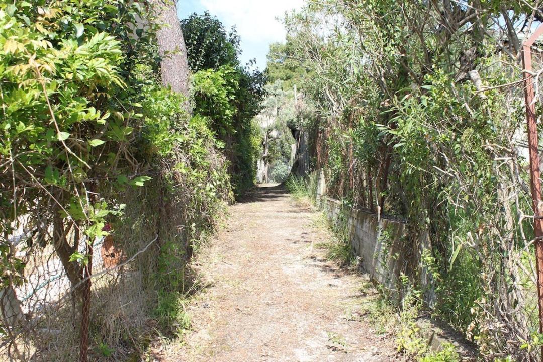 Photo of Others in Nikiana