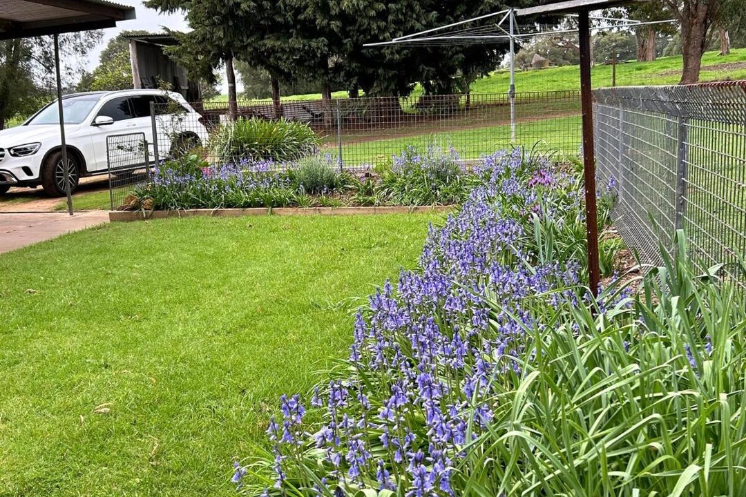 Photo of Outdoor in Northcliffe