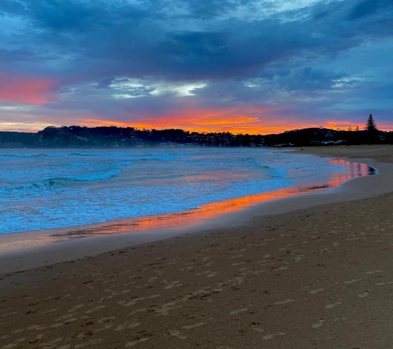 Photo of Others in North Avoca