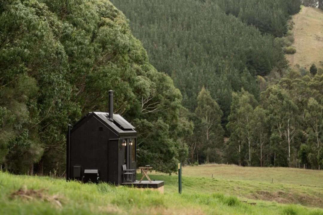 Photo of Others in Tarra Valley