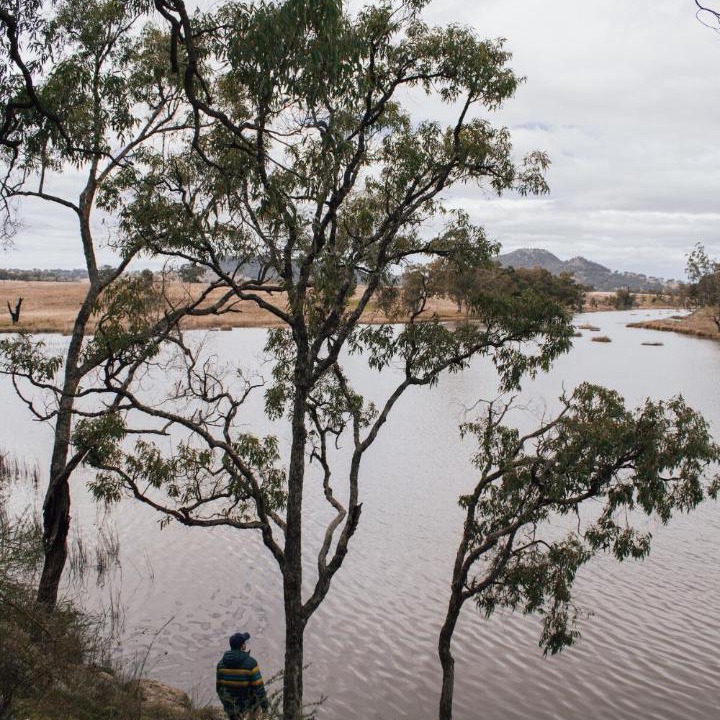 Photo of Others in Rylstone
