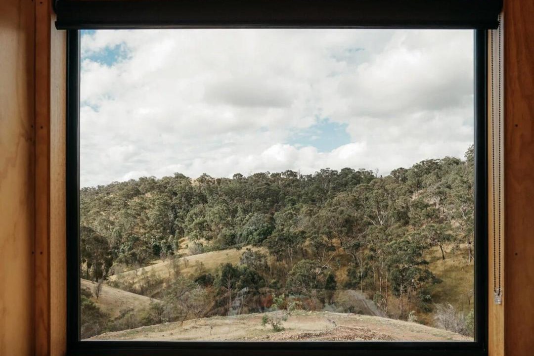 Photo of Others in Reedy Creek