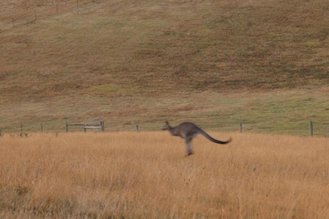 Photo of Others in Wensleydale
