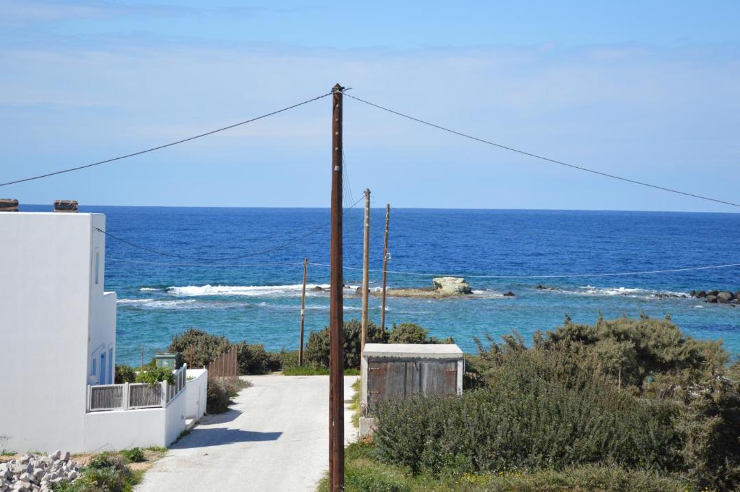 Photo of Others in Apollonia
