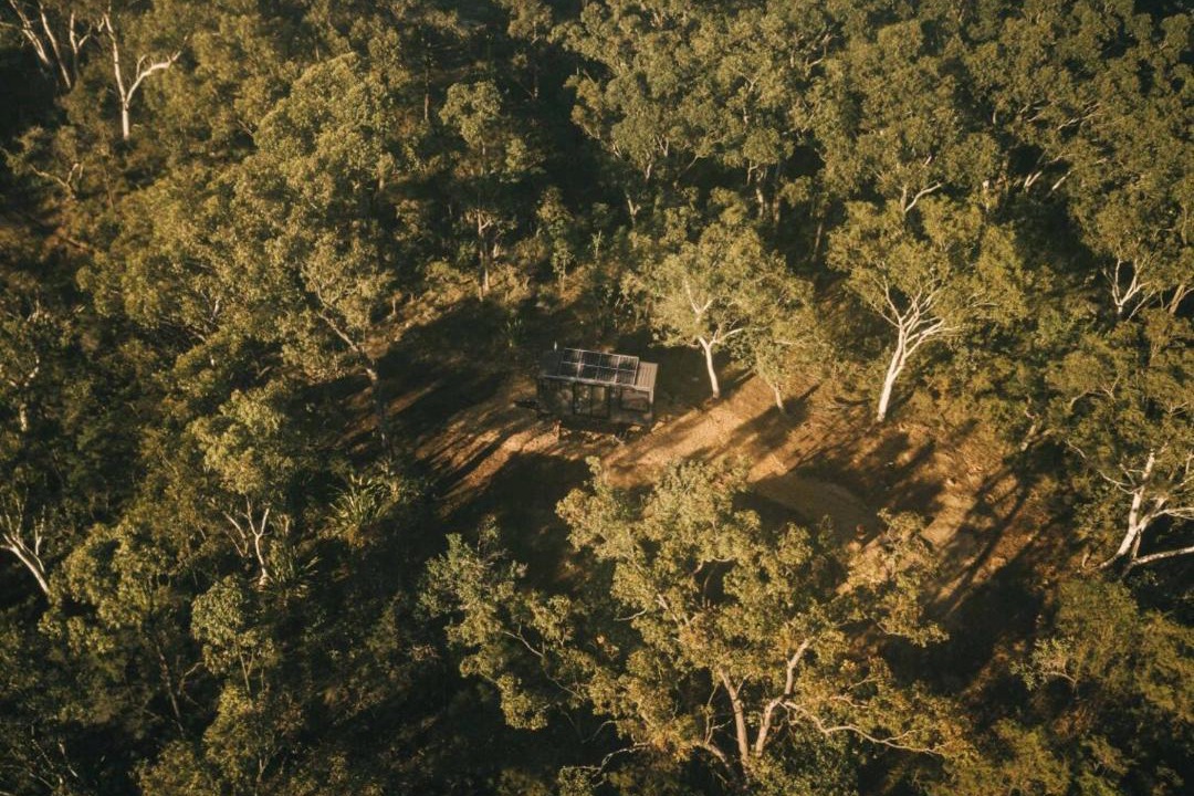 Photo of Others in Mangrove Mountain