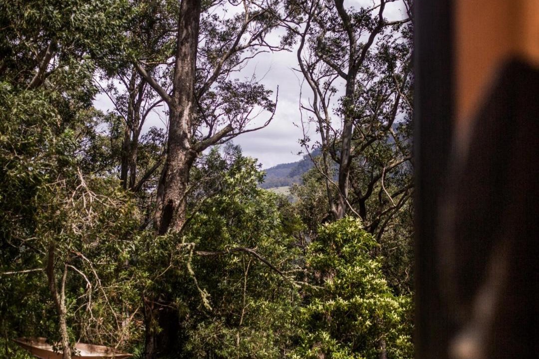 Photo of Others in Barrengarry