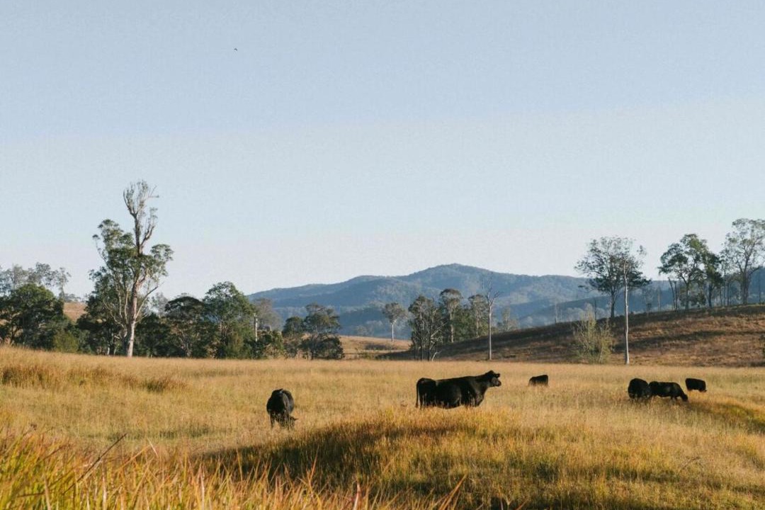 Photo of Others in Bowman Farm