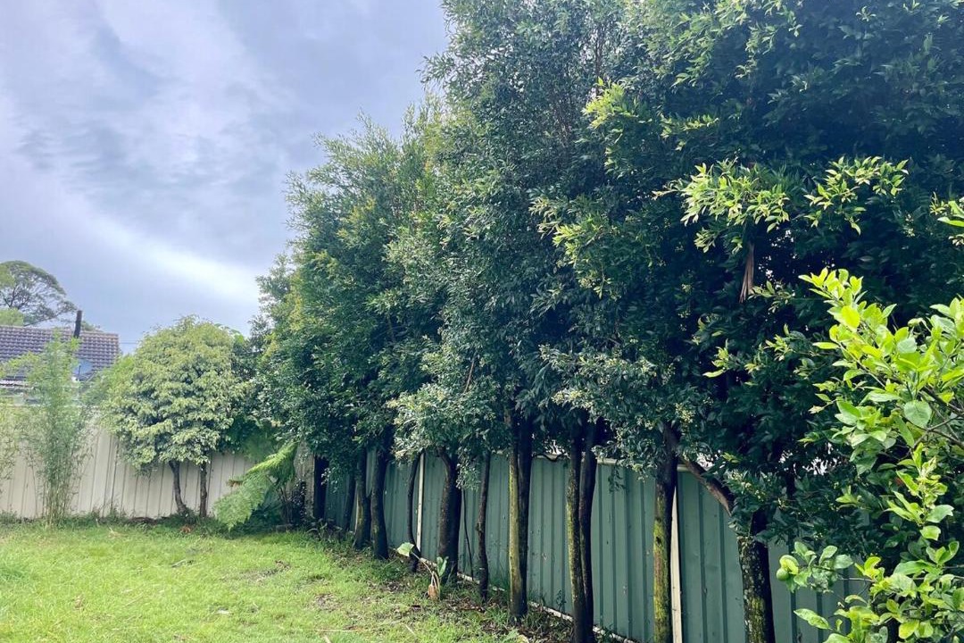 Photo of Outdoor in Sanctuary Point