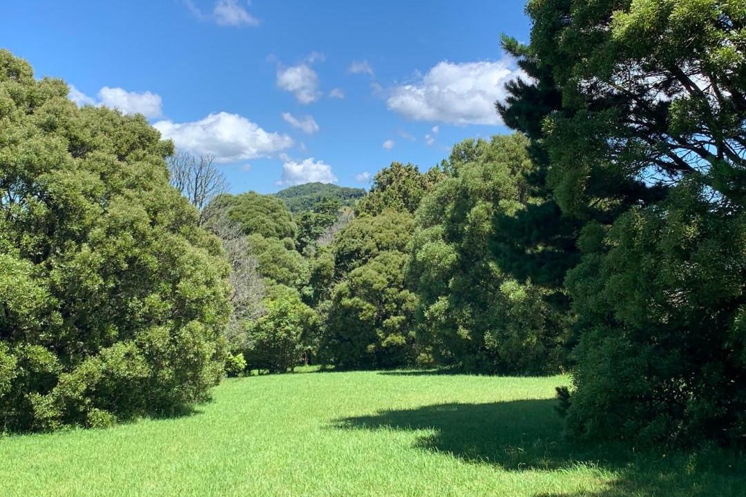 Photo of Outdoor in Robertson