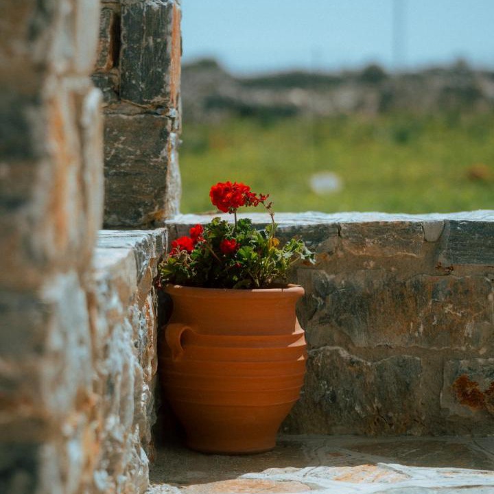 Photo of Others in Naxos