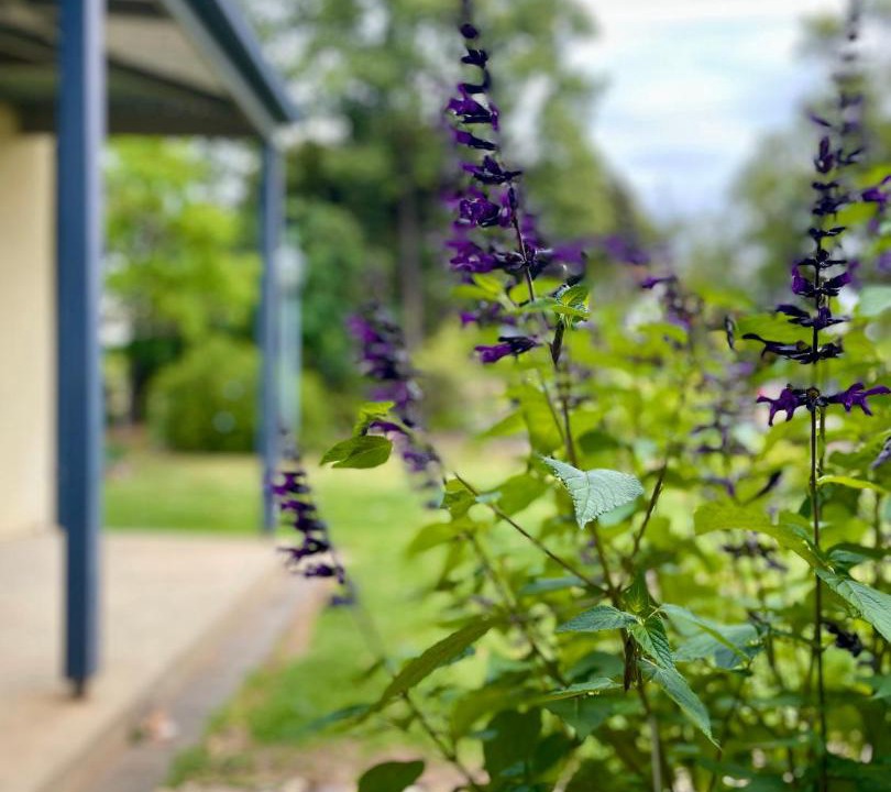 Photo of Outdoor in Benalla West
