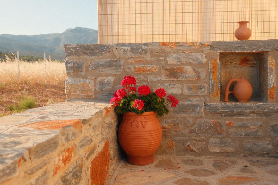 Photo of Others in Naxos