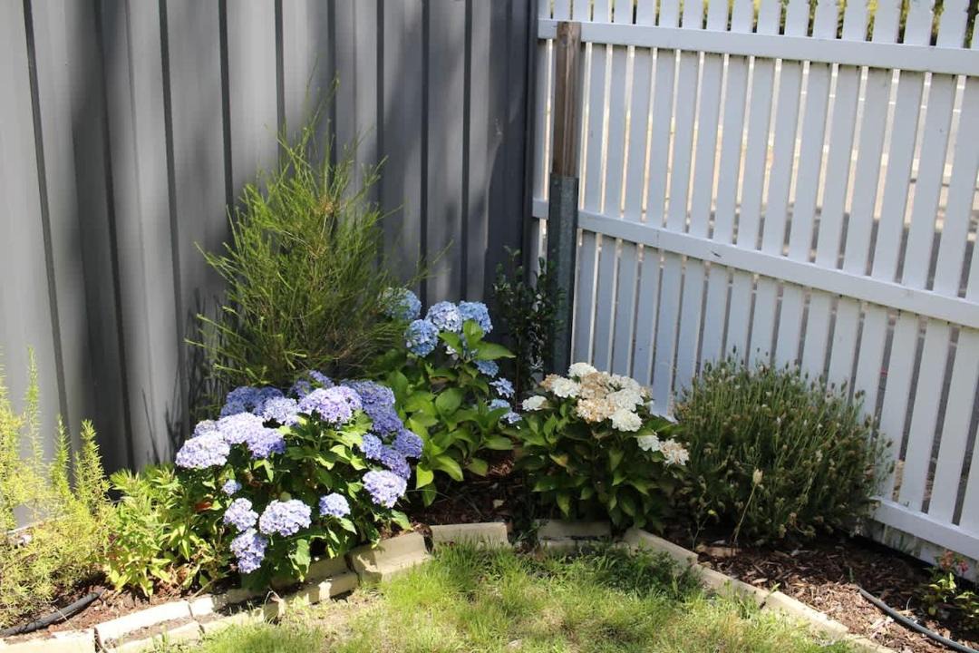 Photo of Others in Invermay