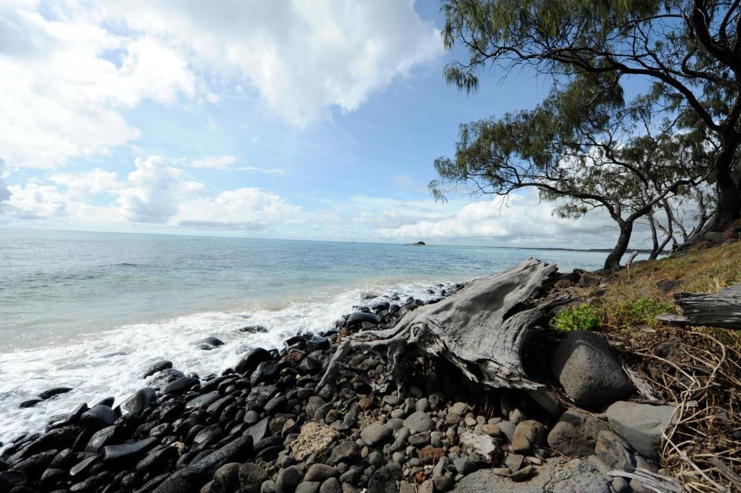 Photo of Others in Bargara