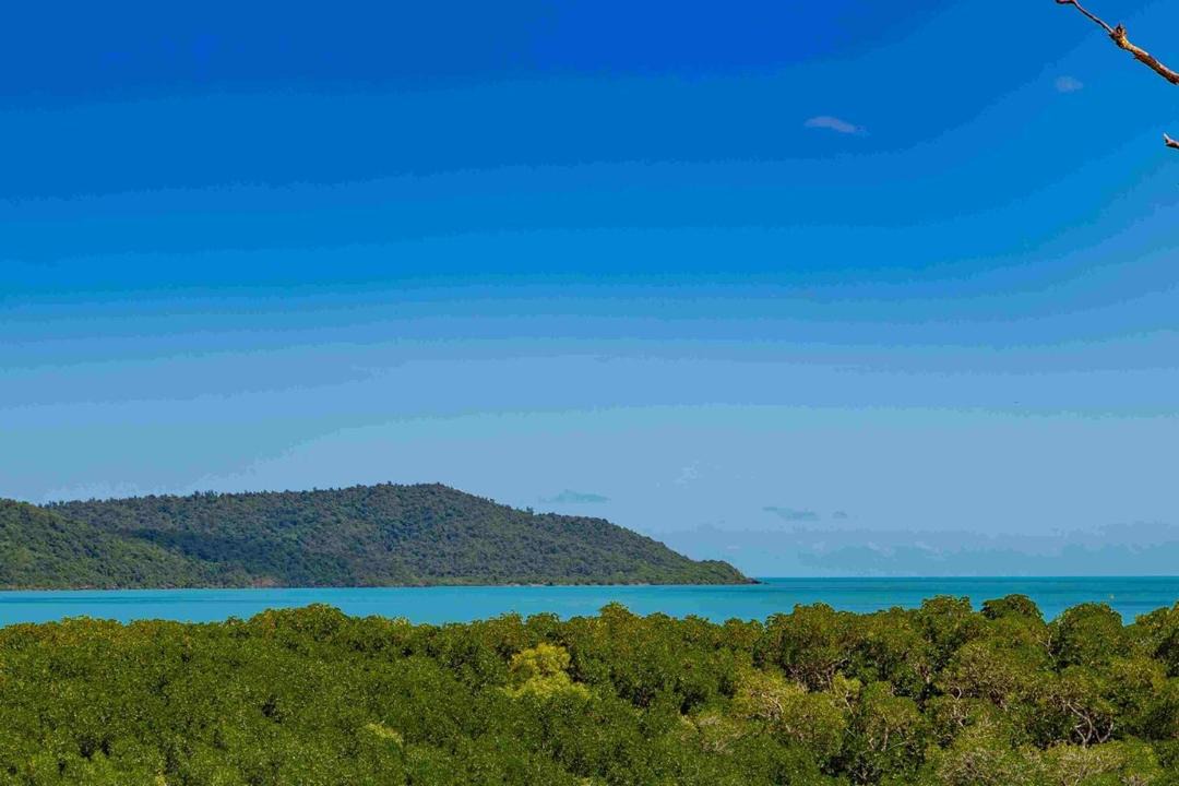 Photo of Others in Cannonvale