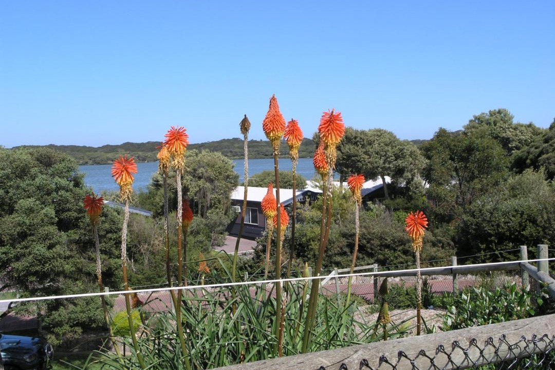 Photo of Outdoor in Waterhouse