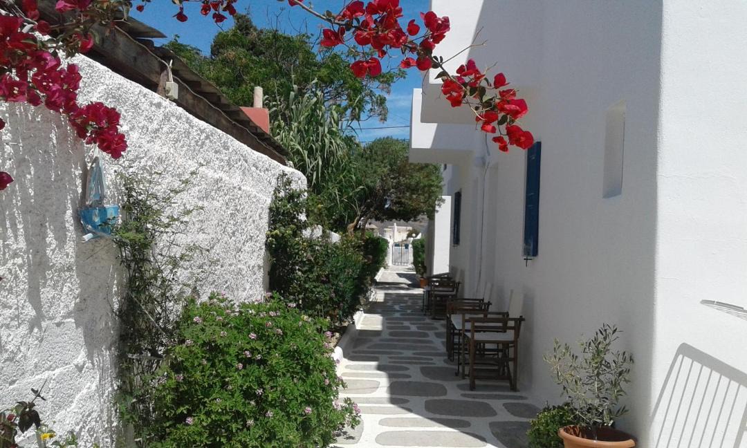 Photo of Others in Mykonos Town