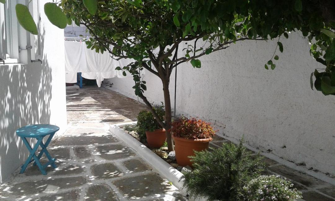 Photo of Others in Mykonos Town