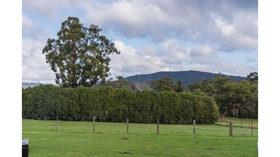 Photo of Others in Yarra Junction