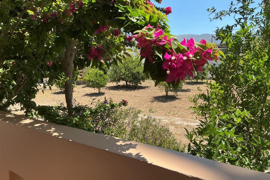 Photo of Others in Marmari