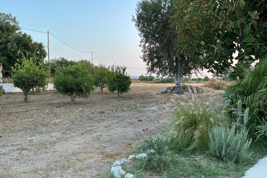 Photo of Others in Marmari