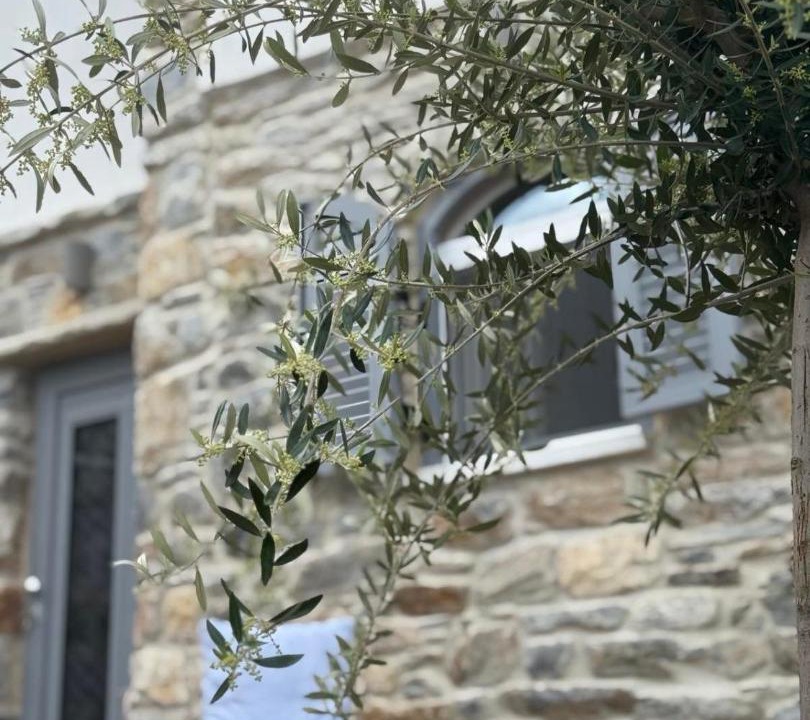 Photo of Others in Naxos
