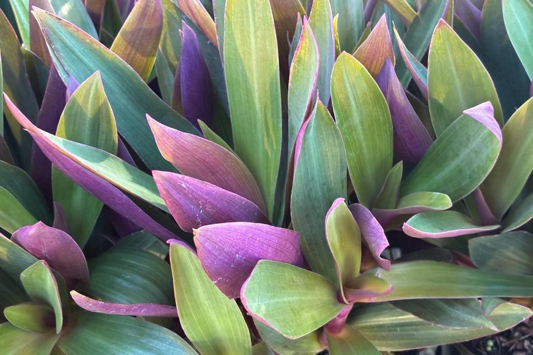 Photo of Outdoor in Magenta Shores