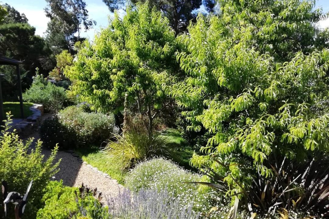 Photo of Outdoor in Burra