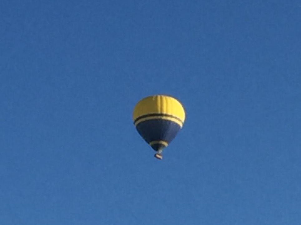 Photo of Others in Hunter Valley