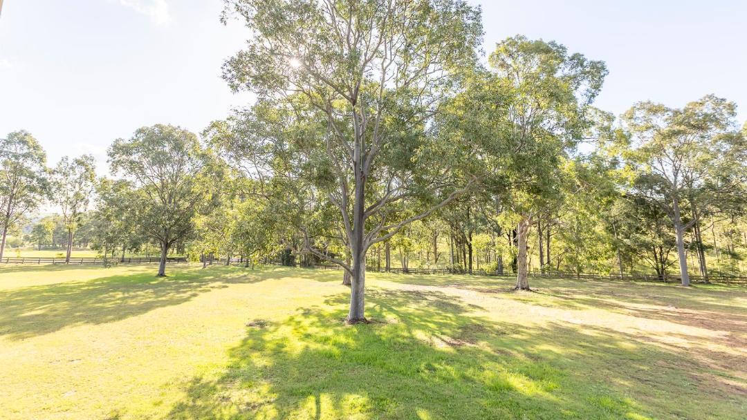 Photo of Others in Lovedale