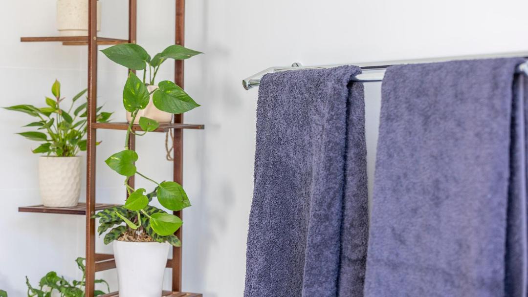 Photo of Bathroom in Lovedale