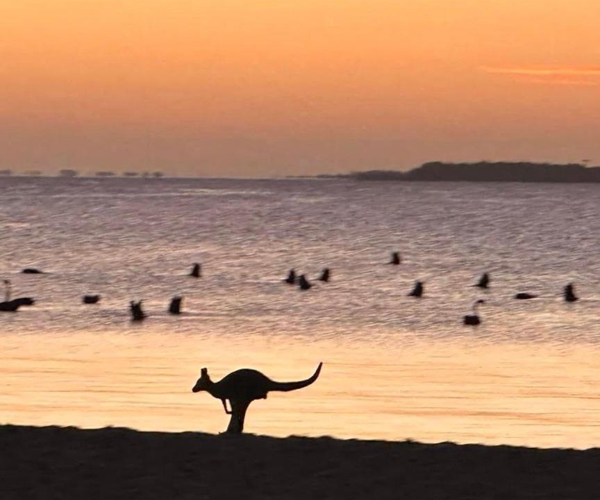 Photo of Human In Picture in Loch Sport