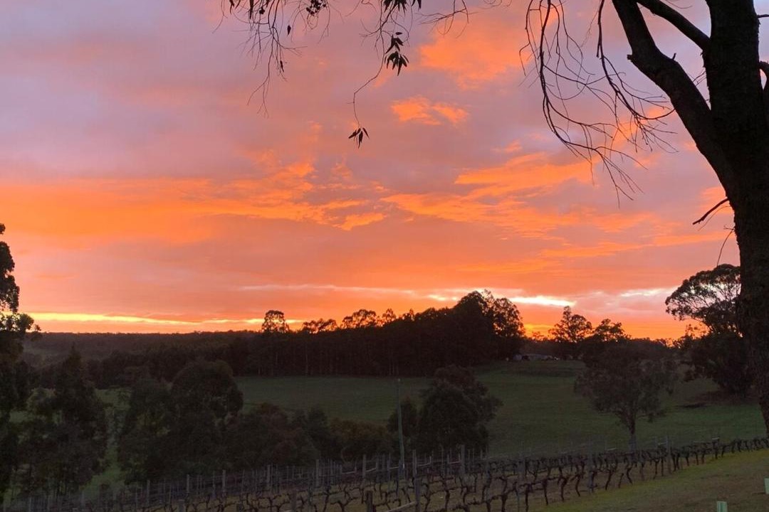 Photo of Others in Kangaroo Gully