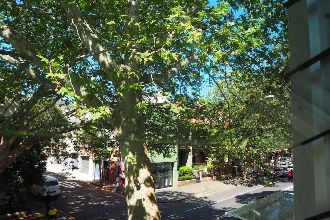 Photo of Others in Surry Hills