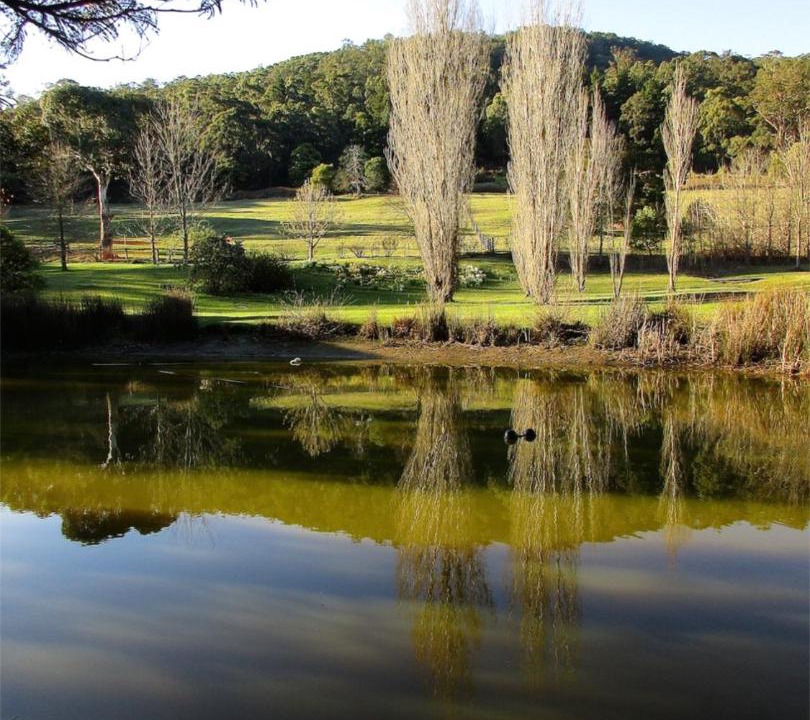 Photo of Others in Mount Macedon