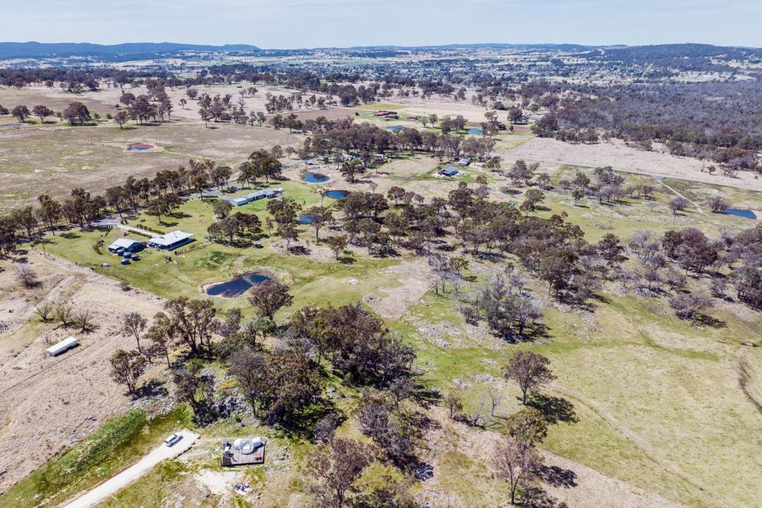 Photo of Others in Tenterfield