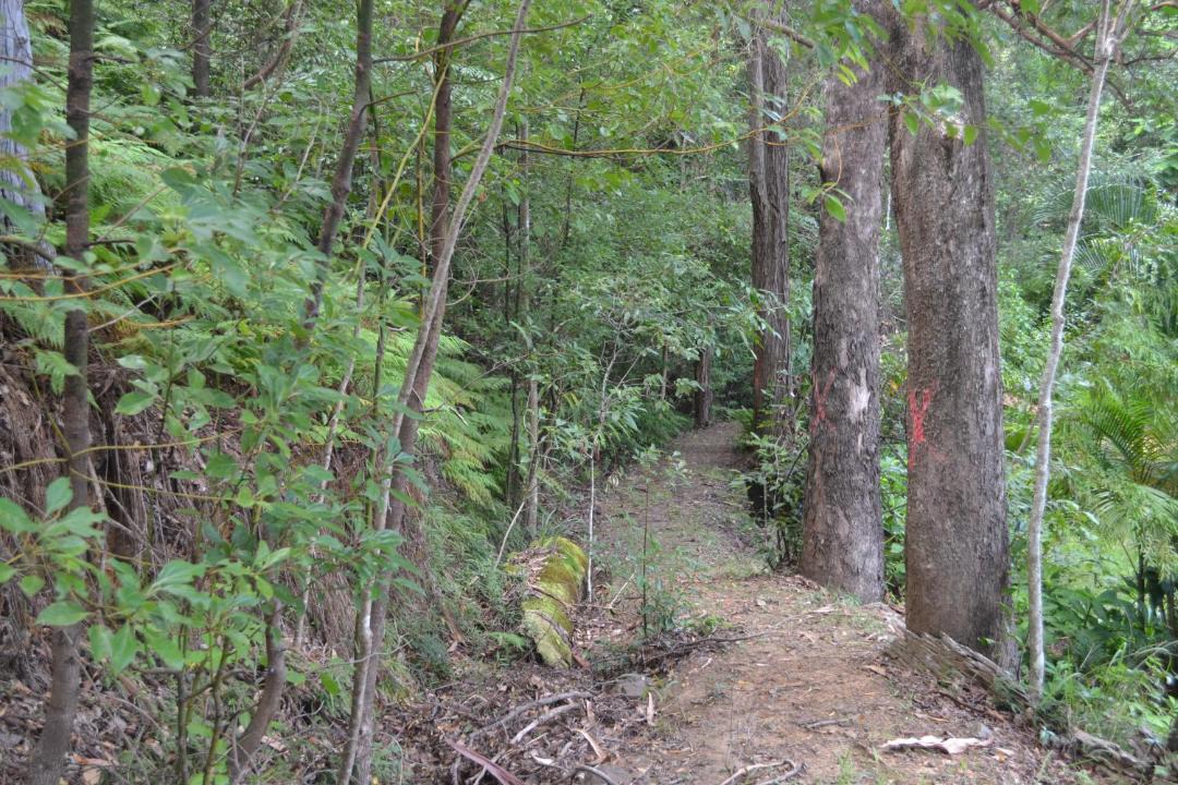 Photo of Others in Palmwoods
