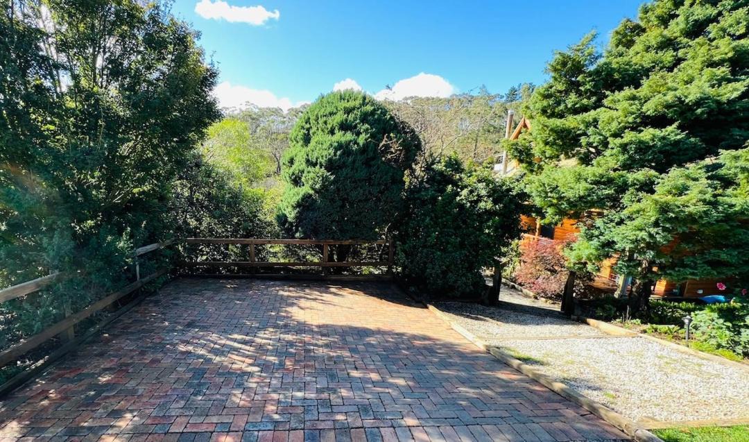 Photo of Others in Katoomba