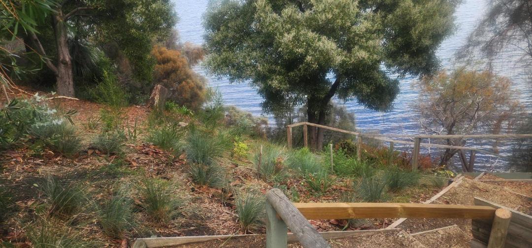 Photo of Others in Otago
