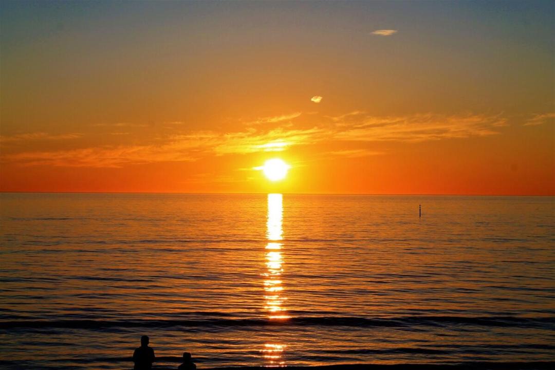 Photo of Others in Glenelg North